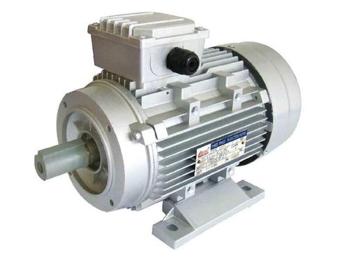 荷蘭ROTOR振動電機(jī)